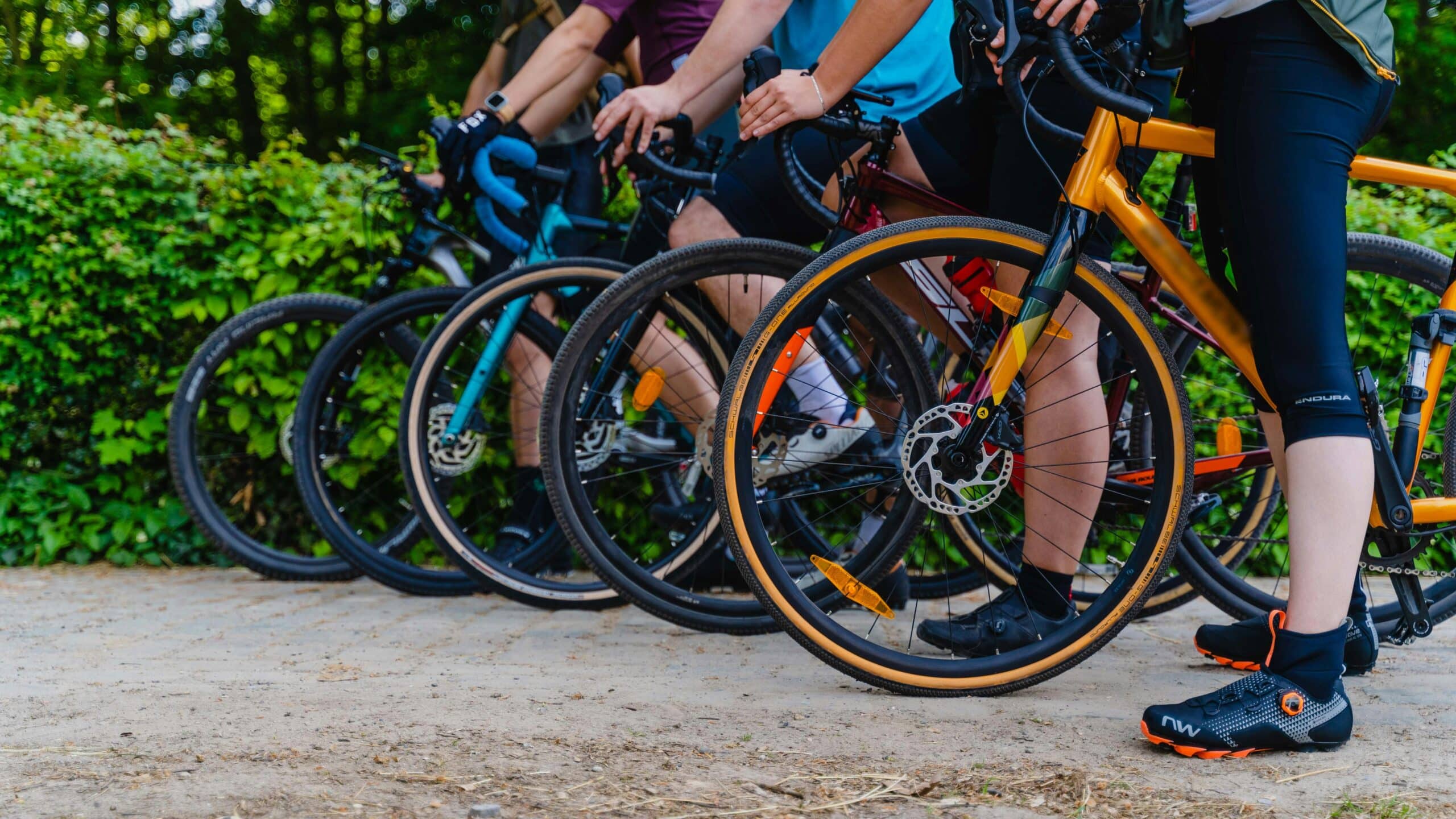 Verschiedene Gravel Bikes stehen hintereinander auf einer Straße