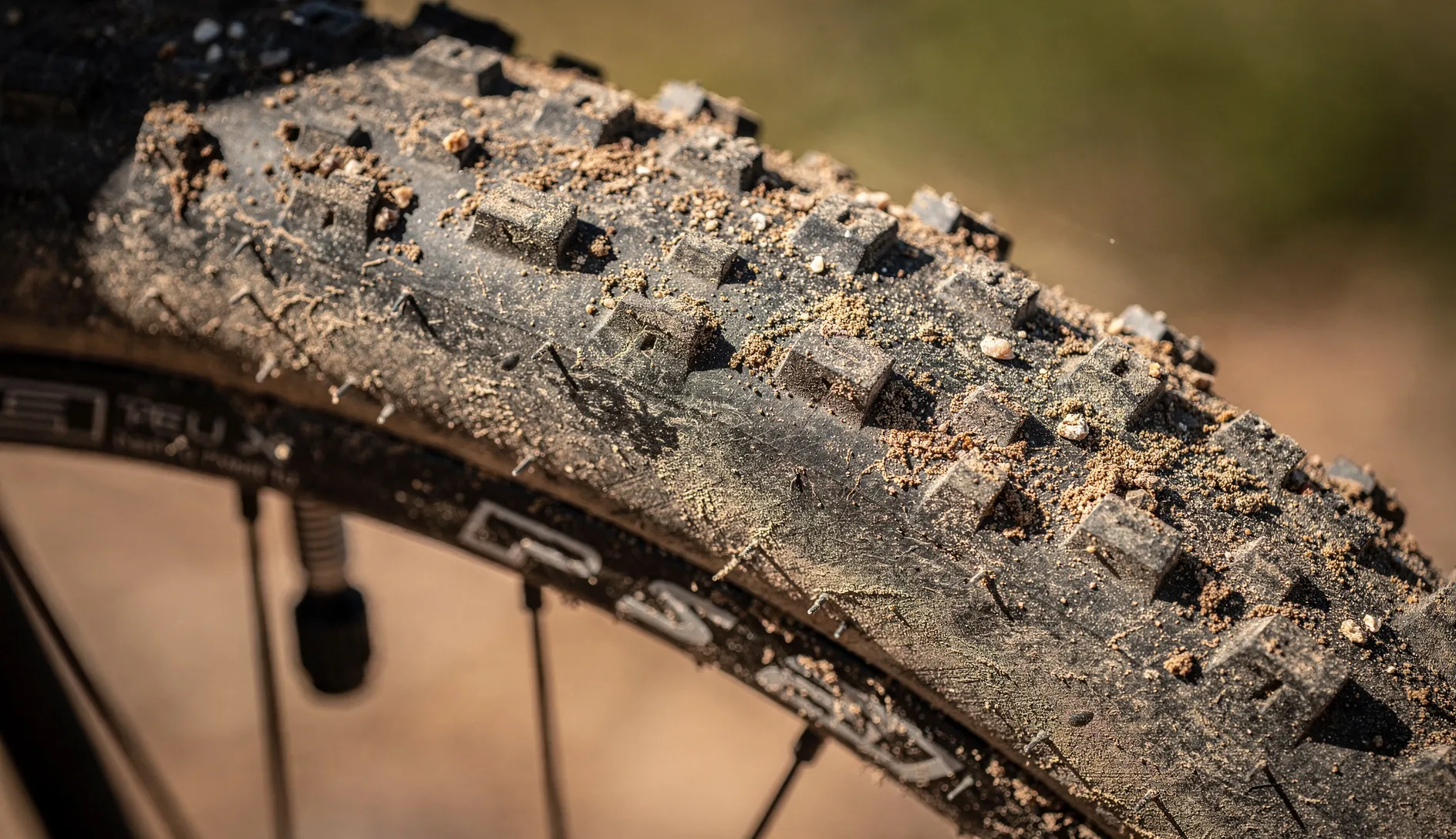 Nahaufnahme eines Gravel Bike Reifens