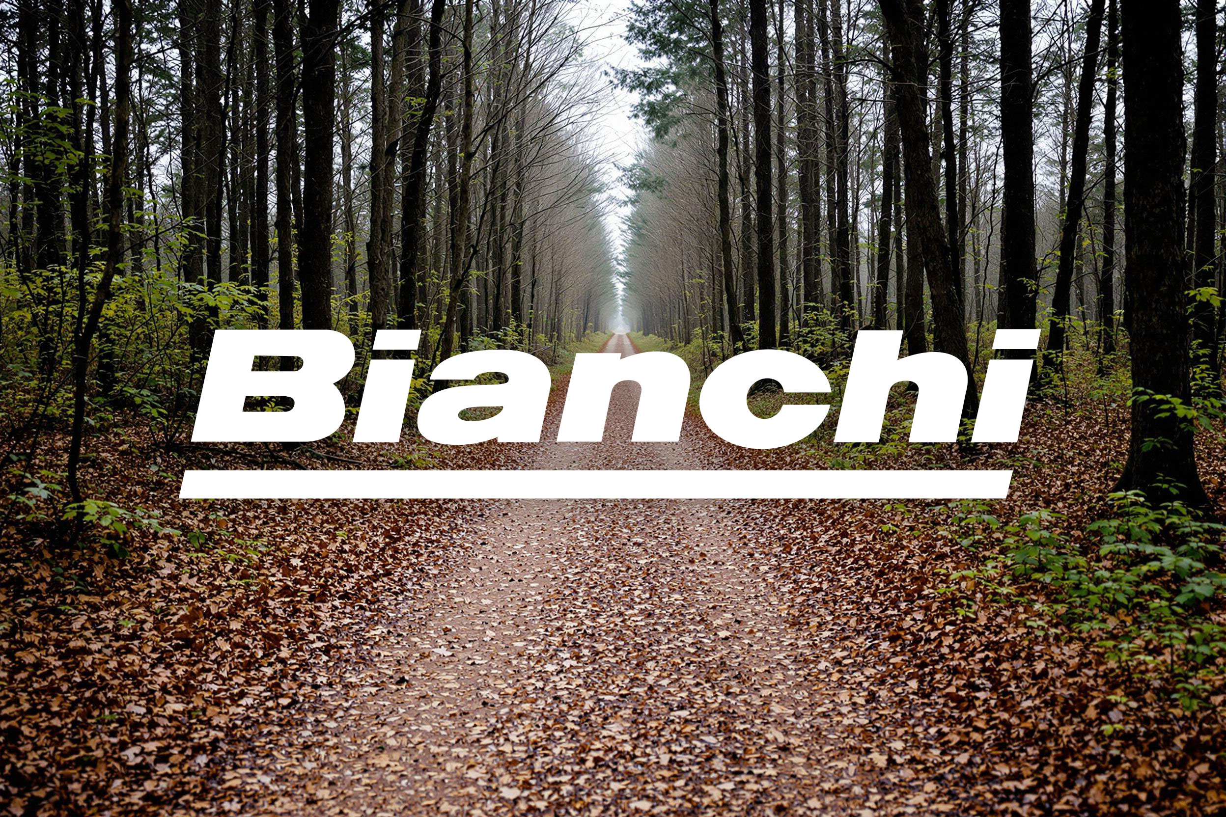 bianchi-gravelbikes.jpg