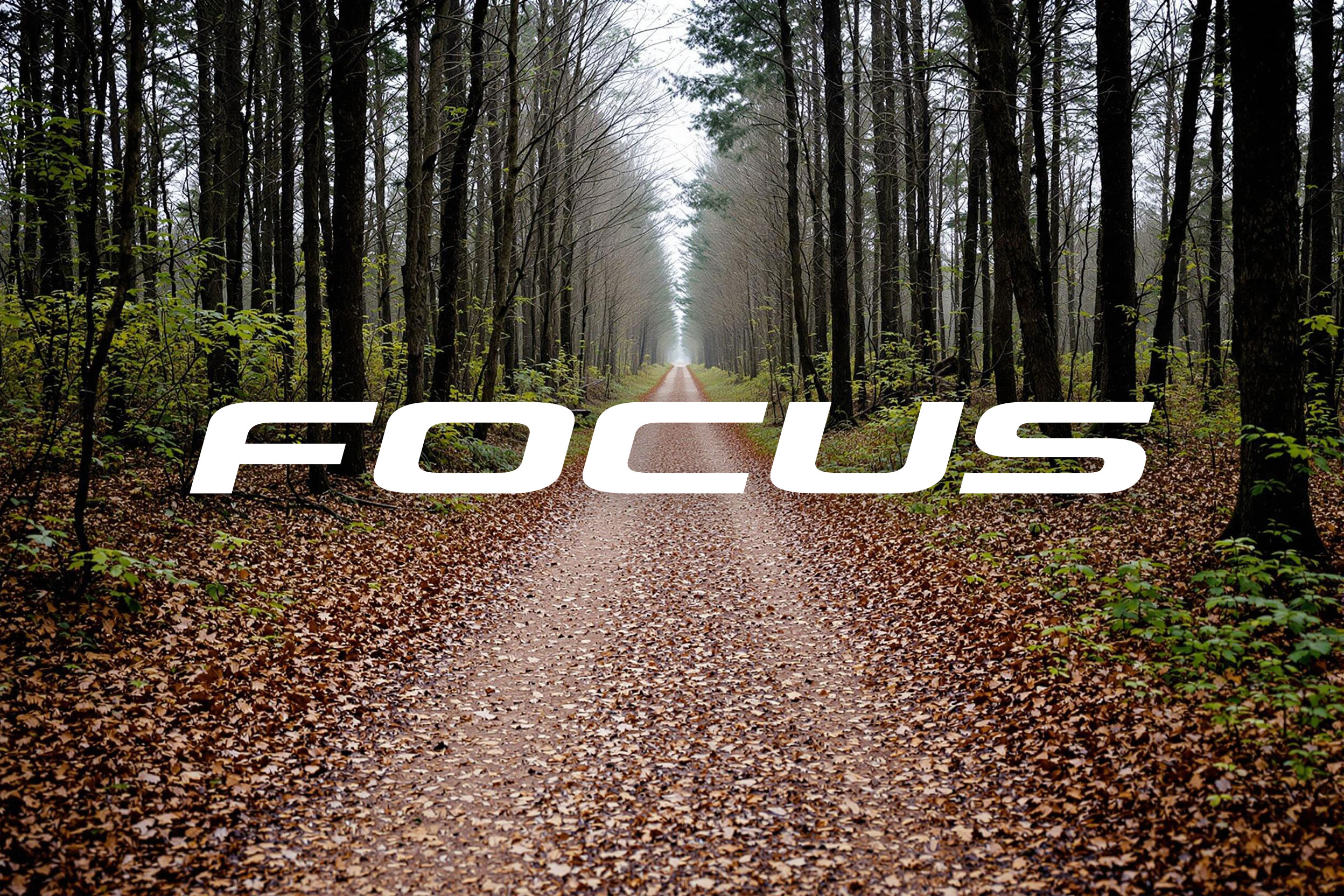 focus-gravelbikes.jpg